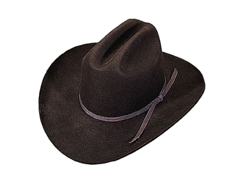 Low Rider Style Western Hat