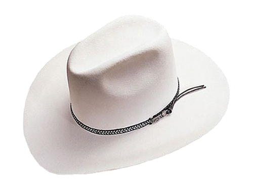 Quarterhorse Style Western Hat