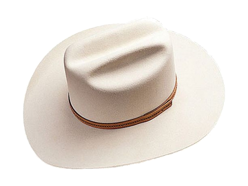 Rancher Style Western Hat