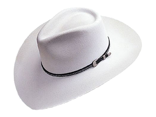 Teardrop Style Western Hat
